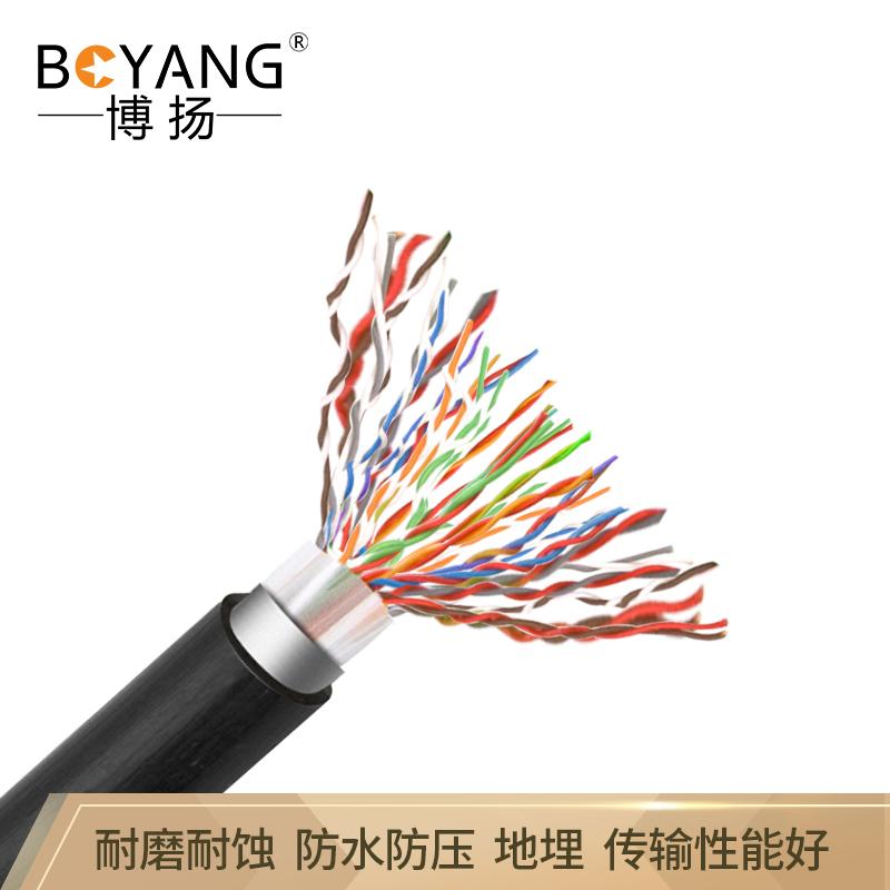 博扬(BOYANG) 线缆 BY-Cat3-SW30X-100M 100m - (单位: 卷 规格: 单卷装)