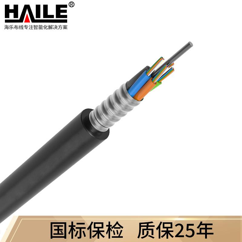 海乐（Haile）HT210-72SC 72芯单模室外光缆 层绞式GYTS-72b1.3 铠装光纤100米 