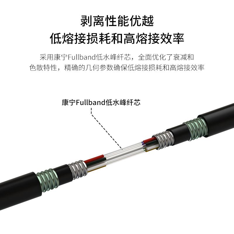 博扬 BOYANG BY-GYTA53-24B1.3 24芯单模室外光缆 GYTA53层绞式直埋网线光纤线 100米