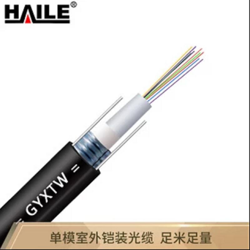 海乐（Haile）6芯单模室外光缆 中心束管式GYXTW-6b1.3 铠装光纤100米 HT210-6S 多买整条发货