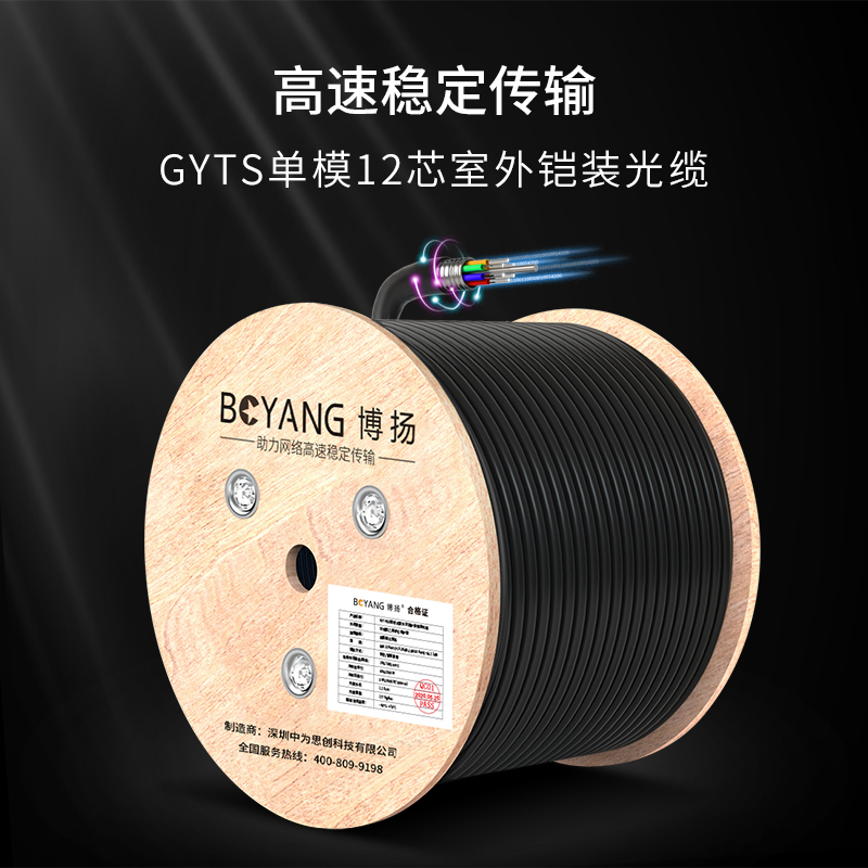 博扬 BOYANG BY-GYTS-12B1.3 铠装12芯单模室外光缆 GYTS层绞式架空/管道网线光纤线 100米