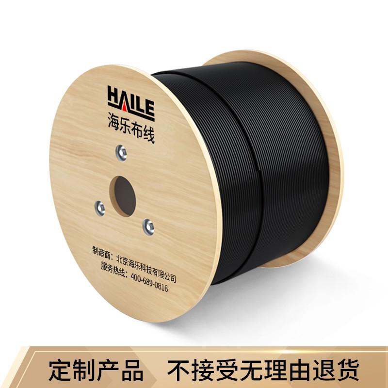 海乐（Haile）6芯单模室外光缆 中心束管式GYXTW-6b1.3 铠装光纤100米 HT210-6S 多买整条发货