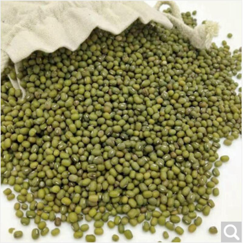 山臻u品有机绿豆350g